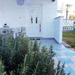 Abelia Daire *